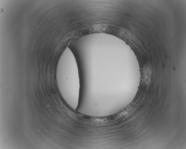 X0000065980522200603030933