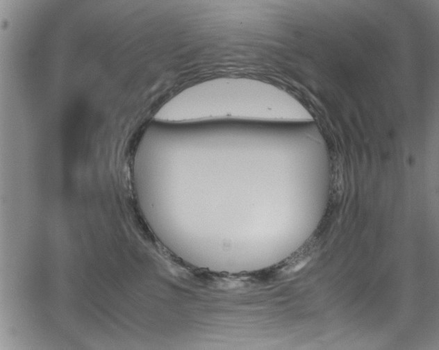 X0000065980523200603030933