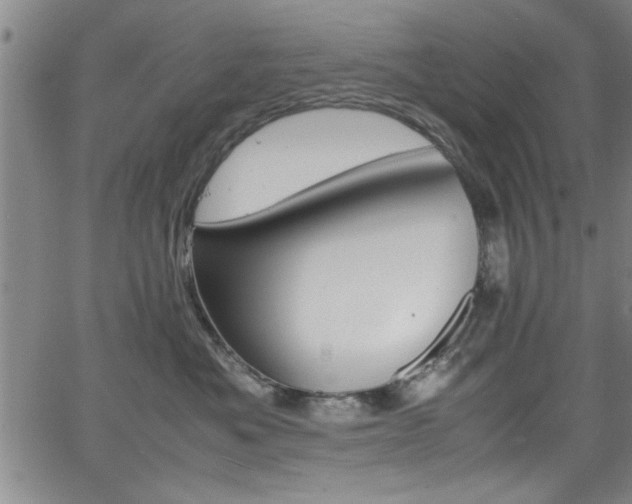 X0000065980525200603030933