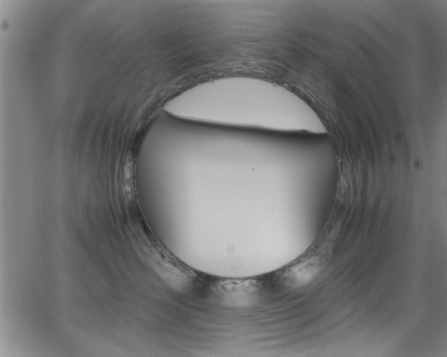 X0000065980526200603030933