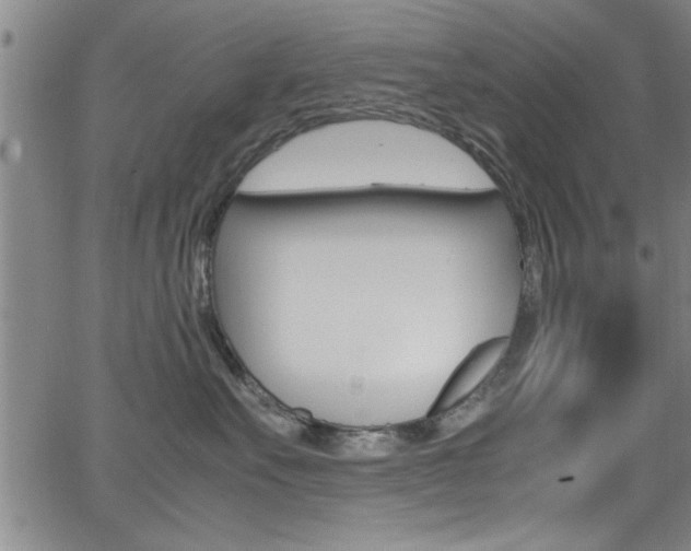 X0000065980527200603030933