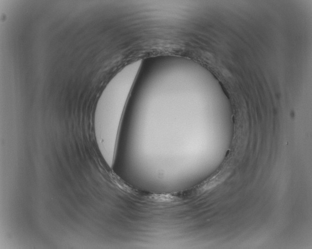 X0000065980528200603030933