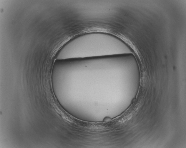 X0000065980529200603030932