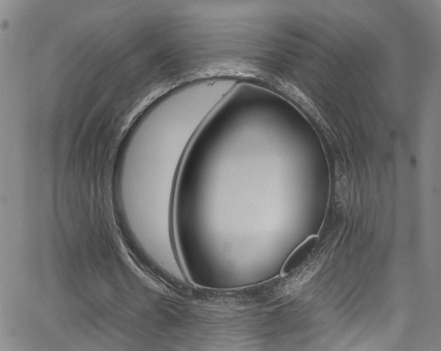 X0000065980530200603030932