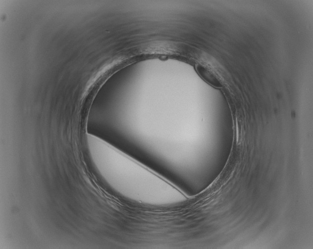 X0000065980531200603030932