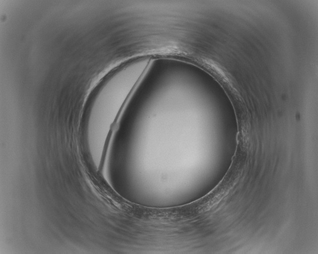 X0000065980532200603030932