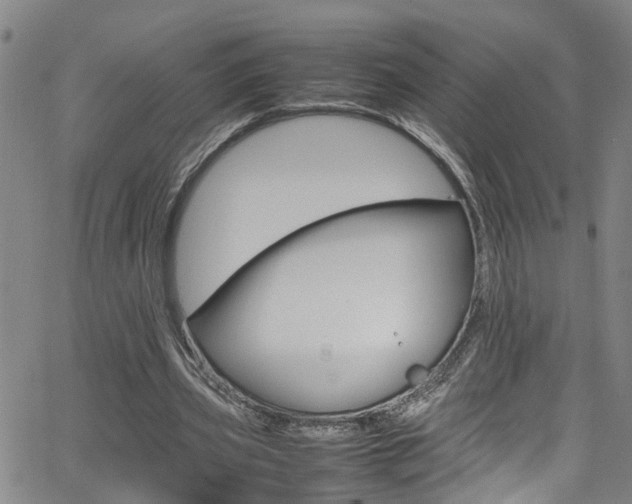 X0000065980533200603030932