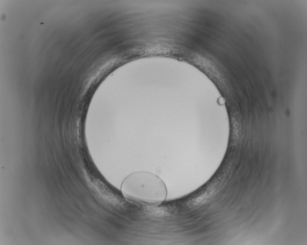 X0000065980534200603030932