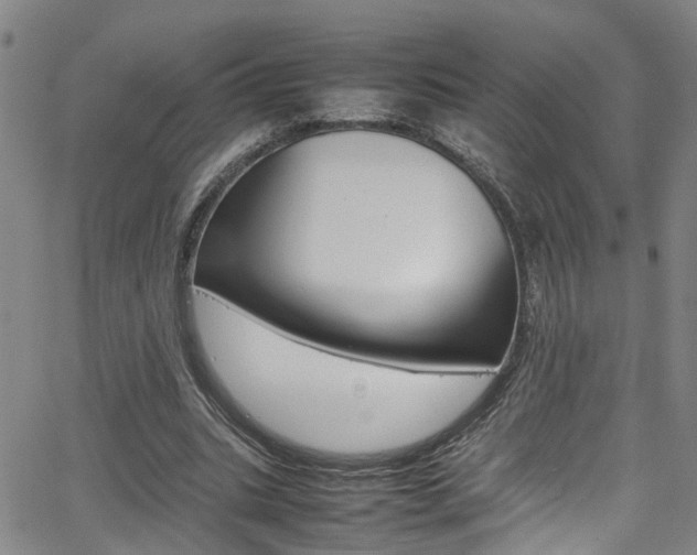 X0000065980535200603030932