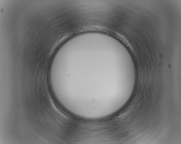 X0000065980538200603030932