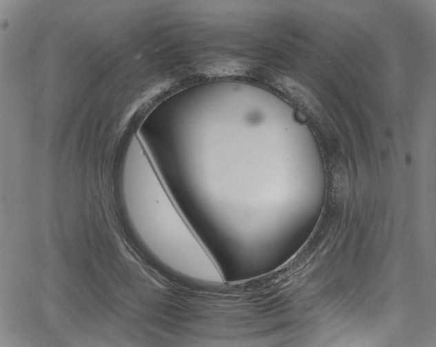 X0000065980539200603030932