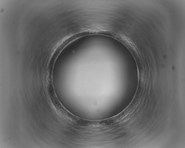 X0000065980540200603030932