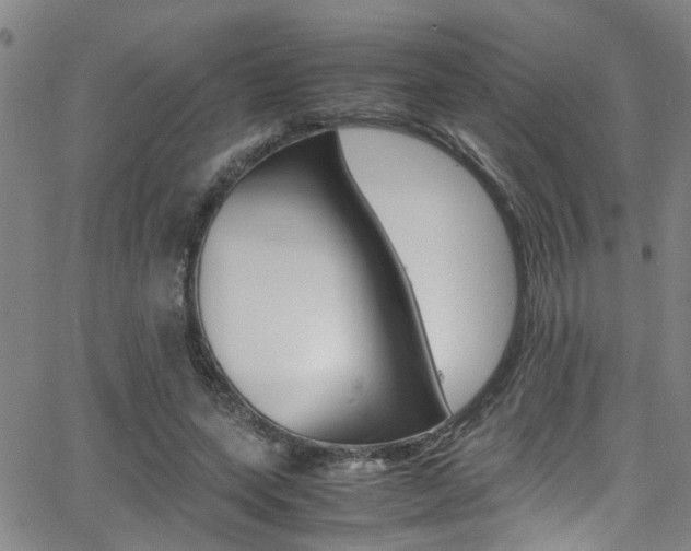 X0000065980543200603030932