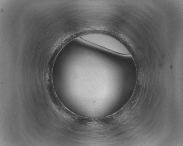 X0000065980544200603030932