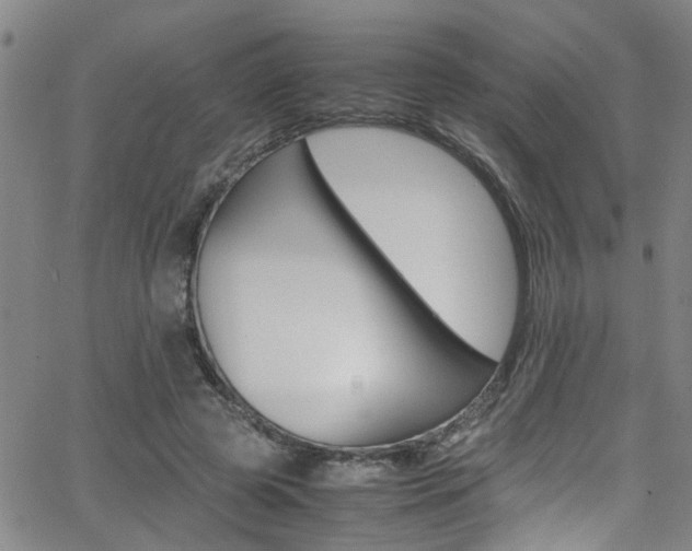 X0000065980545200603030932