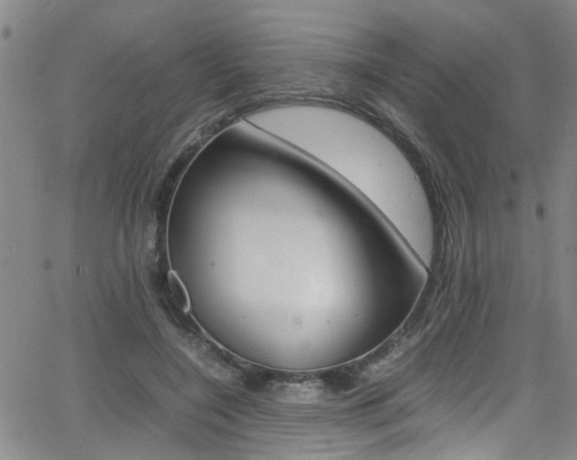 X0000065980548200603030932