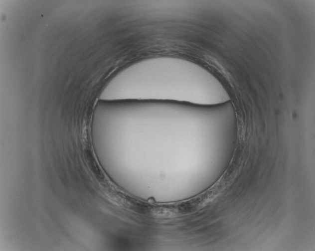 X0000065980549200603030933