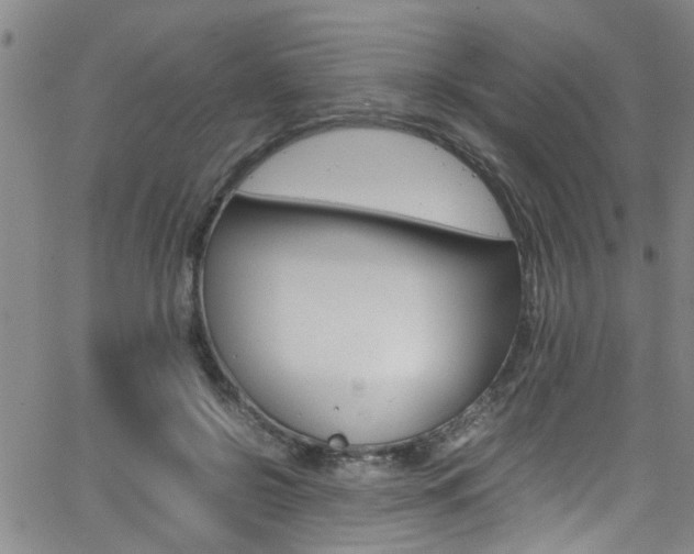 X0000065980550200603030933