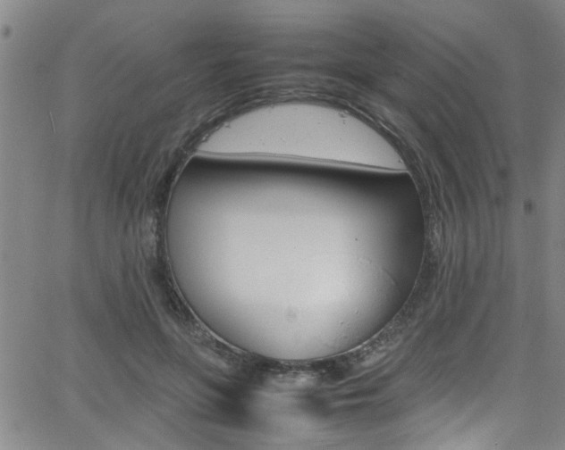 X0000065980551200603030933