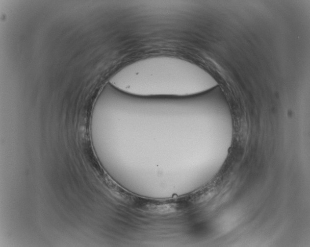 X0000065980553200603030933