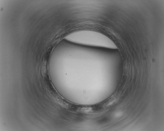 X0000065980554200603030933