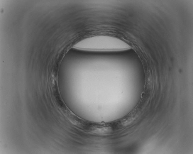 X0000065980555200603030933