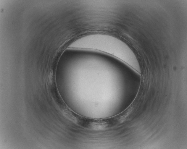 X0000065980556200603030933