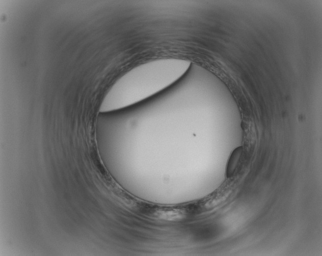 X0000065980557200603030933