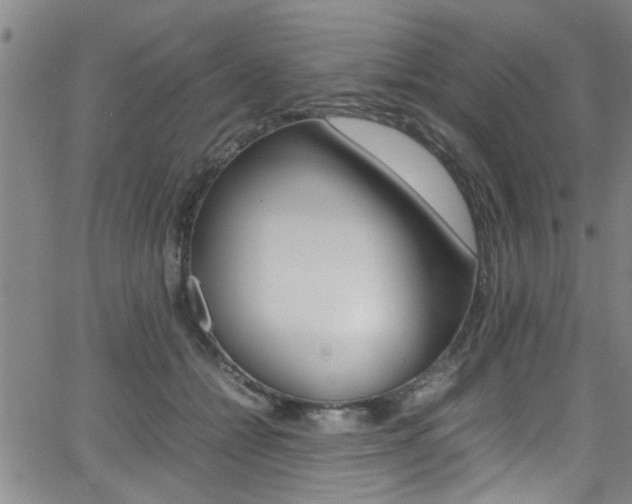 X0000065980558200603030933