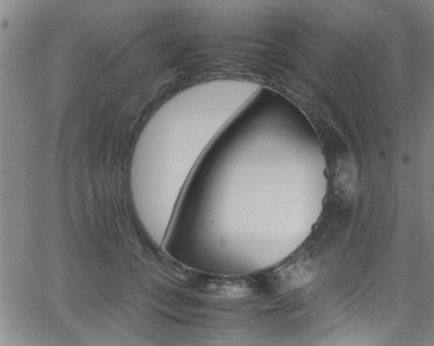 X0000065980559200603030933