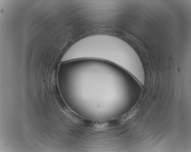 X0000065980560200603030933