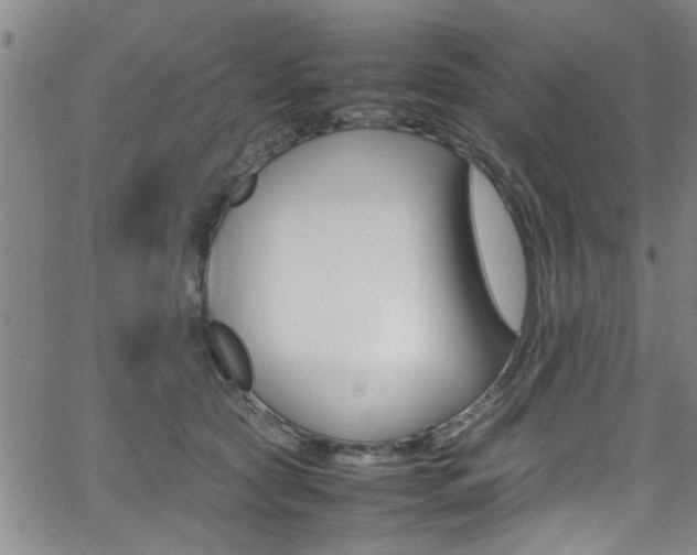 X0000065980561200603030933