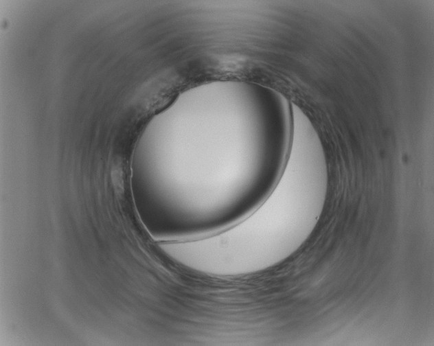 X0000065980562200603030933