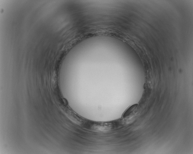 X0000065980563200603030933