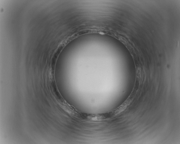 X0000065980564200603030933