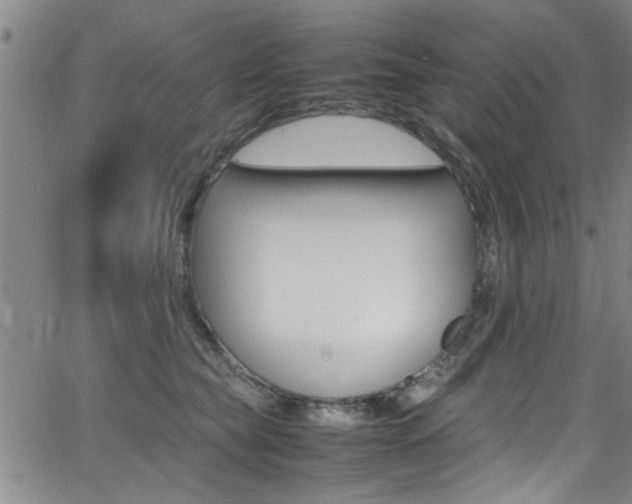 X0000065980565200603030933