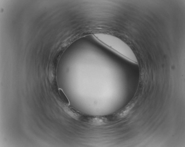 X0000065980566200603030933