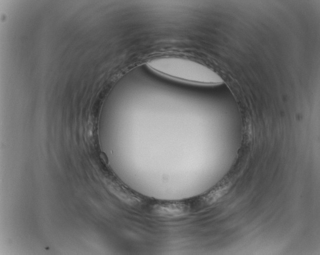 X0000065980567200603030933