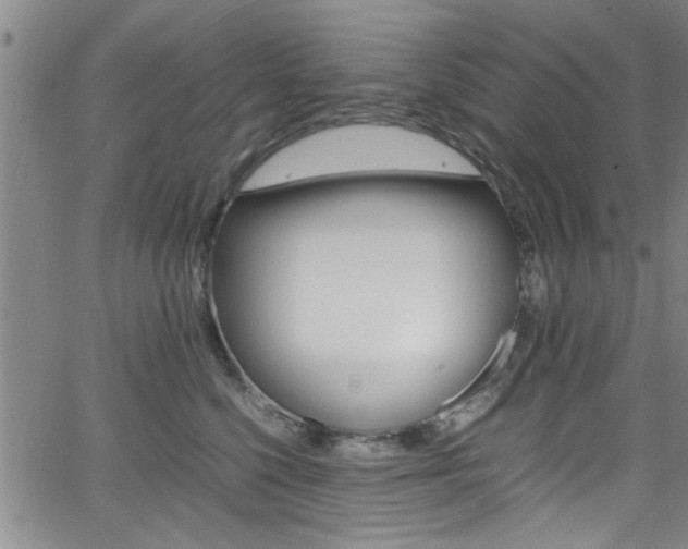 X0000065980568200603030933