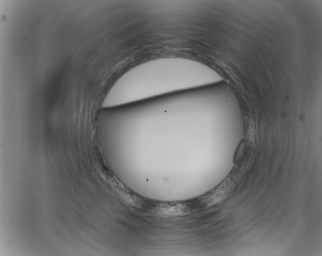 X0000065980569200603030933