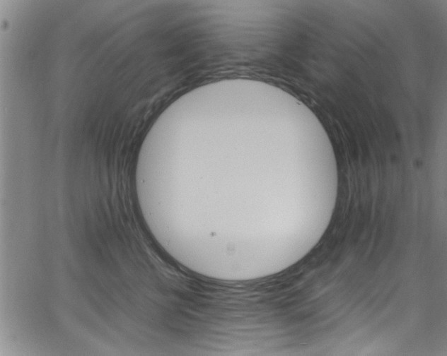 X0000065980570200603030933