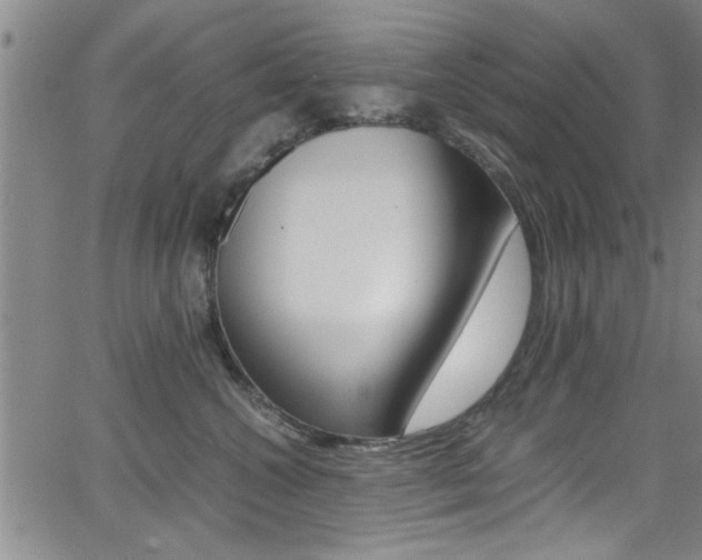 X0000065980572200603030933