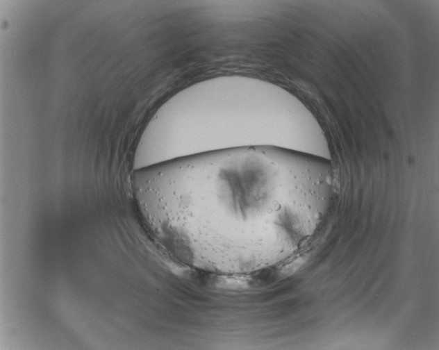 X0000065980573200603030933