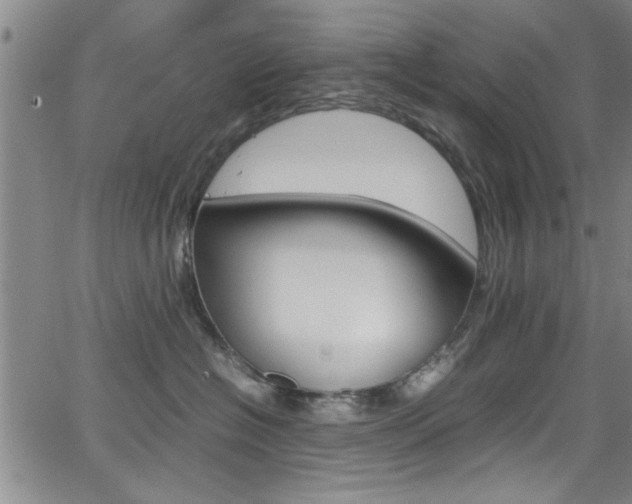 X0000065980574200603030933