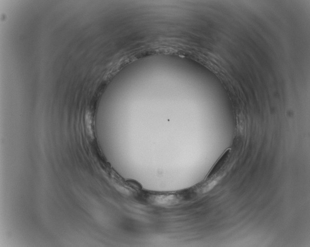 X0000065980575200603030933