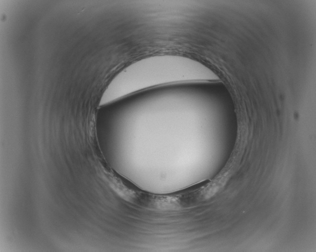 X0000065980576200603030933