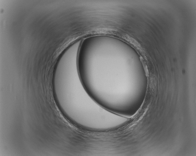 X0000065980577200603030932