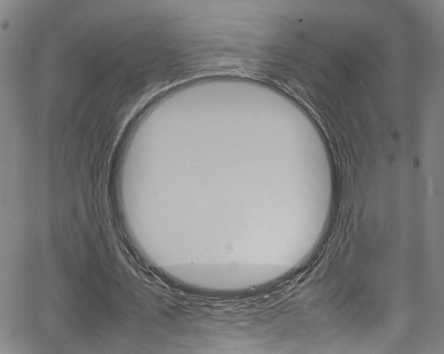 X0000065980579200603030932