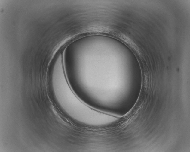 X0000065980580200603030932