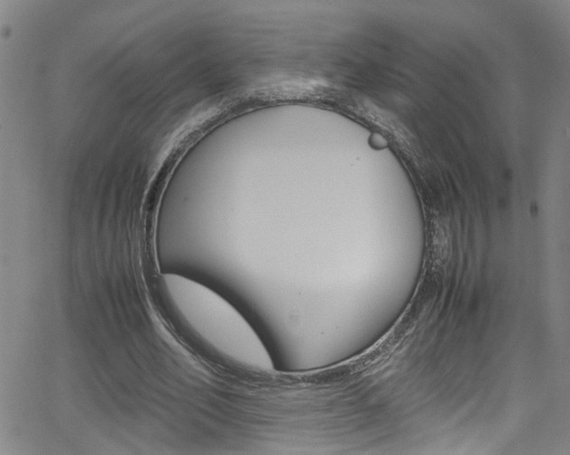 X0000065980582200603030932